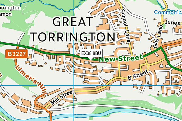 EX38 8BU map - OS VectorMap District (Ordnance Survey)