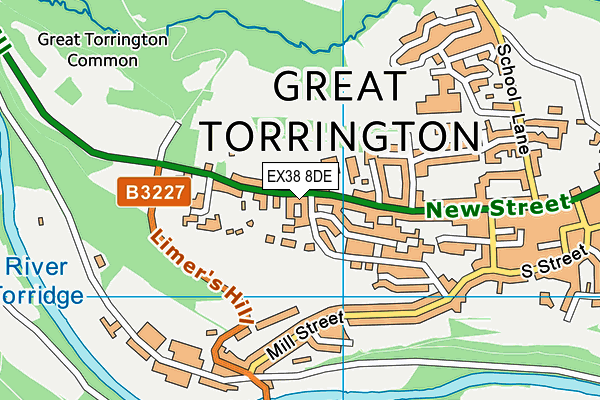 EX38 8DE map - OS VectorMap District (Ordnance Survey)