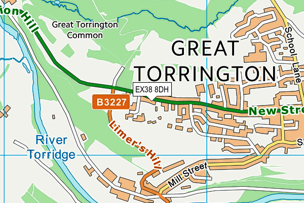 EX38 8DH map - OS VectorMap District (Ordnance Survey)