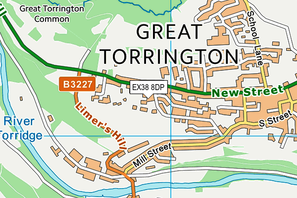 EX38 8DP map - OS VectorMap District (Ordnance Survey)