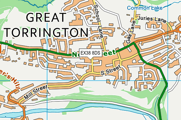 EX38 8DS map - OS VectorMap District (Ordnance Survey)