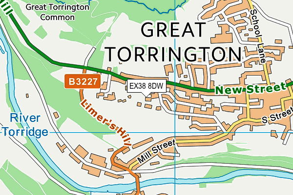 EX38 8DW map - OS VectorMap District (Ordnance Survey)