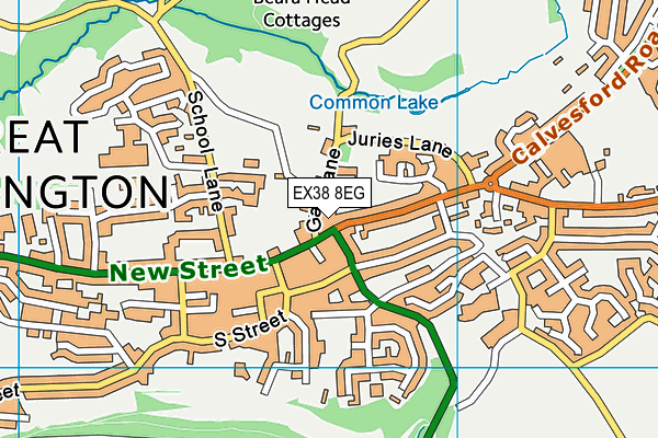 EX38 8EG map - OS VectorMap District (Ordnance Survey)