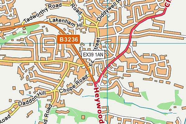 EX39 1AN map - OS VectorMap District (Ordnance Survey)