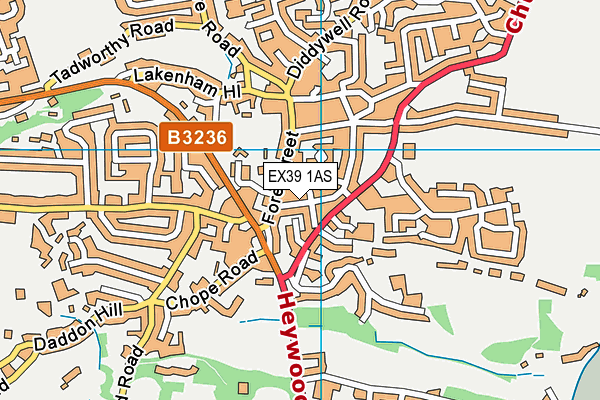 EX39 1AS map - OS VectorMap District (Ordnance Survey)