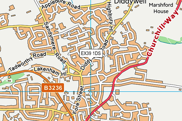 EX39 1DS map - OS VectorMap District (Ordnance Survey)