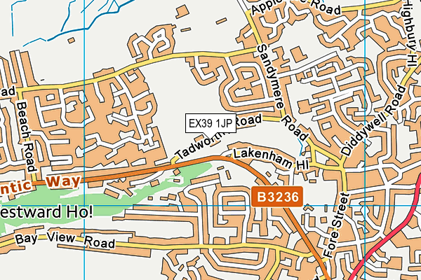 EX39 1JP map - OS VectorMap District (Ordnance Survey)