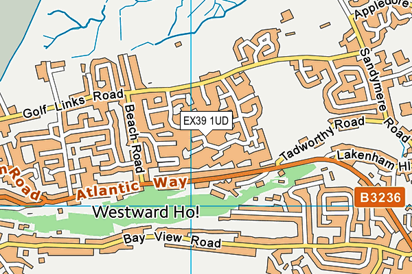 EX39 1UD map - OS VectorMap District (Ordnance Survey)