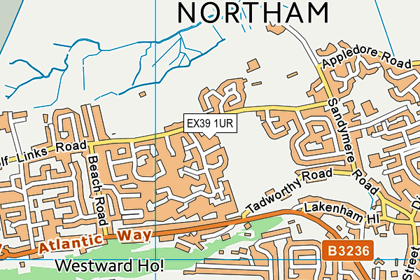 EX39 1UR map - OS VectorMap District (Ordnance Survey)