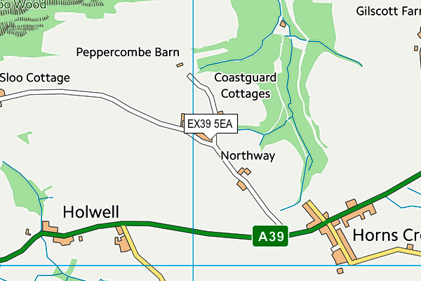 EX39 5EA map - OS VectorMap District (Ordnance Survey)