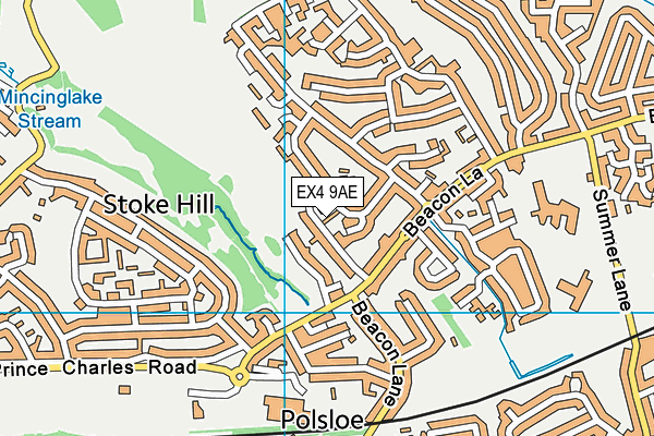 EX4 9AE map - OS VectorMap District (Ordnance Survey)