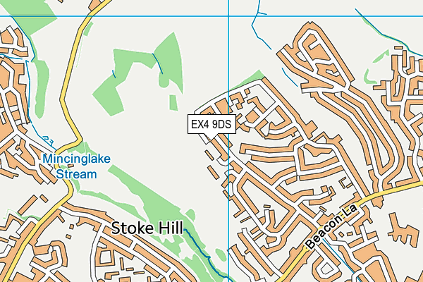 EX4 9DS map - OS VectorMap District (Ordnance Survey)