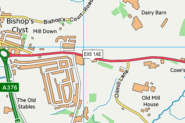 EX5 1AE map - OS VectorMap District (Ordnance Survey)