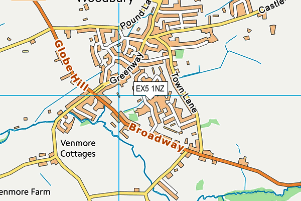 EX5 1NZ map - OS VectorMap District (Ordnance Survey)