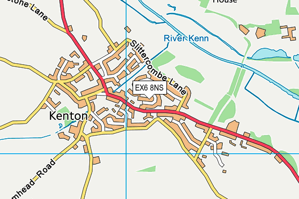 EX6 8NS map - OS VectorMap District (Ordnance Survey)