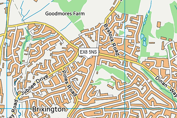 EX8 5NS map - OS VectorMap District (Ordnance Survey)