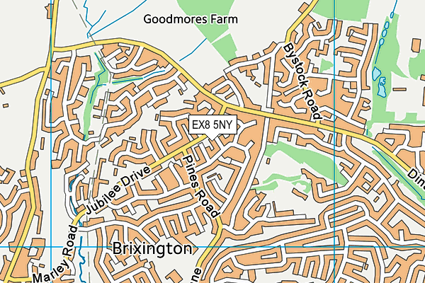 EX8 5NY map - OS VectorMap District (Ordnance Survey)