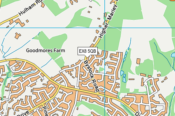 EX8 5QB map - OS VectorMap District (Ordnance Survey)