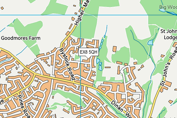 EX8 5QH map - OS VectorMap District (Ordnance Survey)