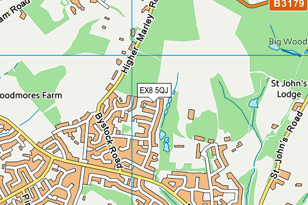 EX8 5QJ map - OS VectorMap District (Ordnance Survey)