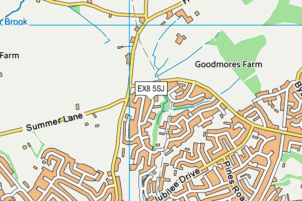 EX8 5SJ map - OS VectorMap District (Ordnance Survey)