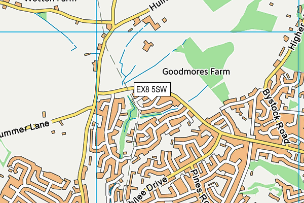 EX8 5SW map - OS VectorMap District (Ordnance Survey)