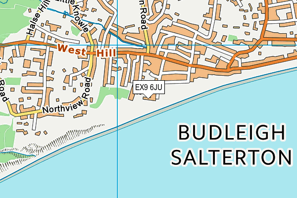 EX9 6JU map - OS VectorMap District (Ordnance Survey)