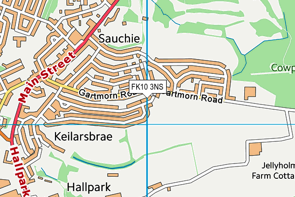 FK10 3NS map - OS VectorMap District (Ordnance Survey)