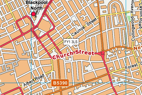 FY1 3LS map - OS VectorMap District (Ordnance Survey)