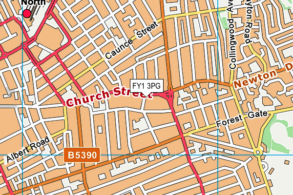 FY1 3PG map - OS VectorMap District (Ordnance Survey)