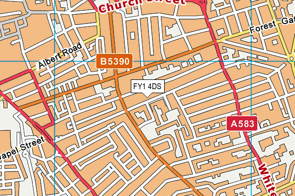 FY1 4DS map - OS VectorMap District (Ordnance Survey)