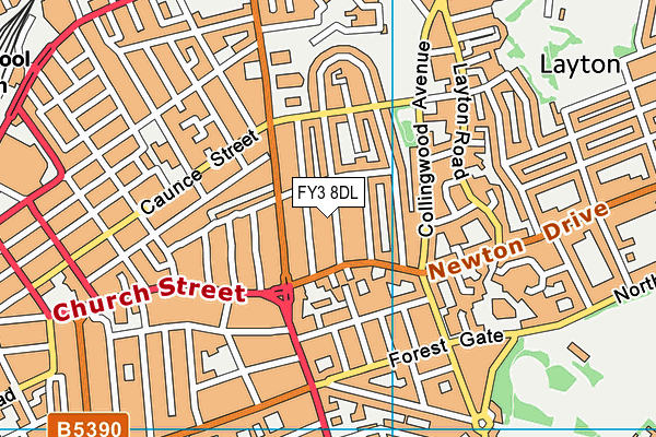 FY3 8DL map - OS VectorMap District (Ordnance Survey)