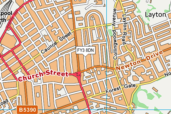 FY3 8DN map - OS VectorMap District (Ordnance Survey)