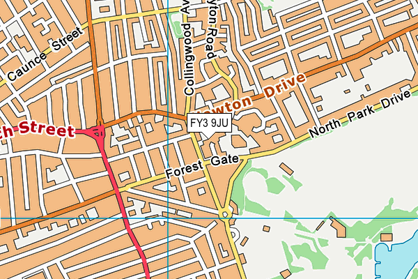 FY3 9JU map - OS VectorMap District (Ordnance Survey)