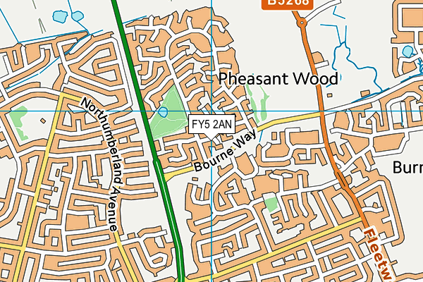 FY5 2AN map - OS VectorMap District (Ordnance Survey)