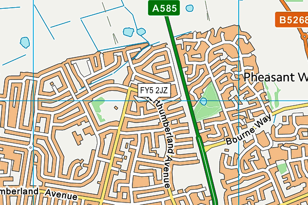 FY5 2JZ map - OS VectorMap District (Ordnance Survey)