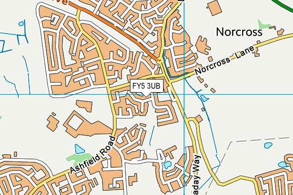 FY5 3UB map - OS VectorMap District (Ordnance Survey)