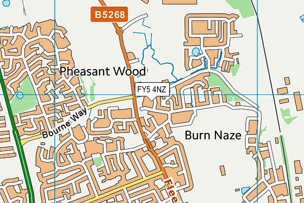 FY5 4NZ map - OS VectorMap District (Ordnance Survey)