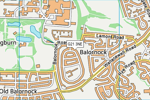 G21 3NE map - OS VectorMap District (Ordnance Survey)