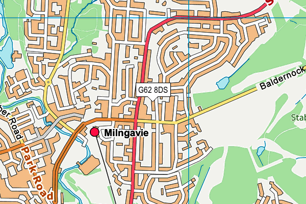 G62 8DS map - OS VectorMap District (Ordnance Survey)