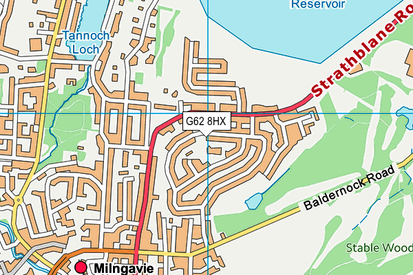 G62 8HX map - OS VectorMap District (Ordnance Survey)