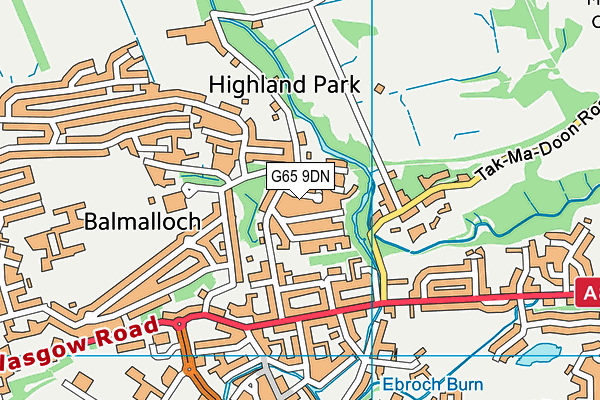 G65 9DN map - OS VectorMap District (Ordnance Survey)