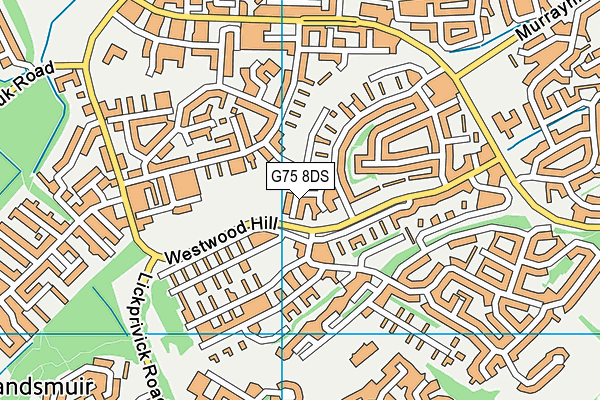 G75 8DS map - OS VectorMap District (Ordnance Survey)