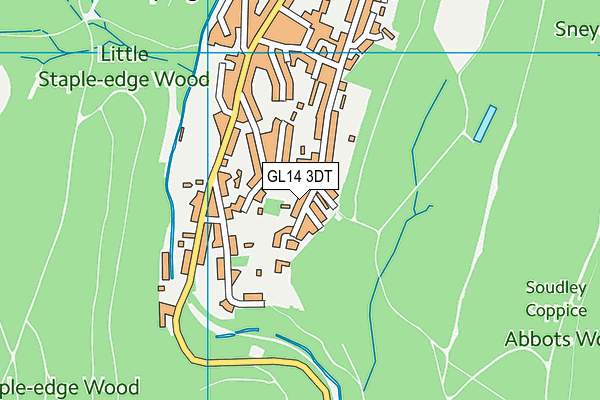 GL14 3DT map - OS VectorMap District (Ordnance Survey)