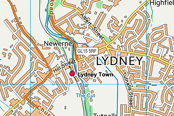 Map of THE SWAN HOTEL (LYDNEY) LTD at district scale