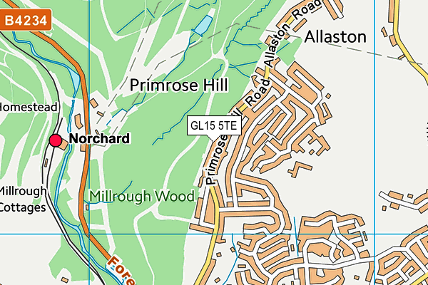 GL15 5TE map - OS VectorMap District (Ordnance Survey)