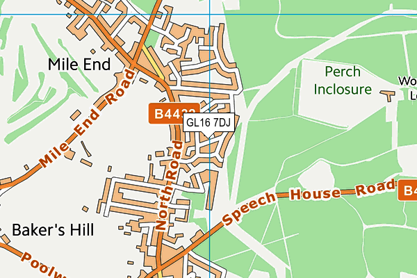 GL16 7DJ map - OS VectorMap District (Ordnance Survey)