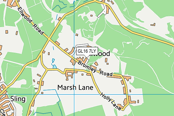 Ellwood Community Primary School map (GL16 7LY) - OS VectorMap District (Ordnance Survey)