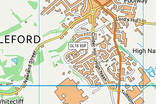 GL16 8SF map - OS VectorMap District (Ordnance Survey)