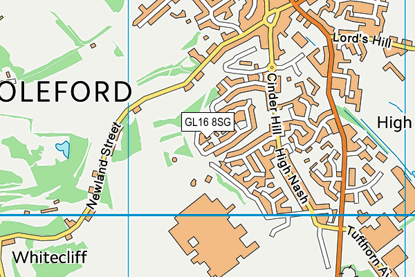 GL16 8SG map - OS VectorMap District (Ordnance Survey)